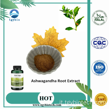 Estratto di radice di Ashwagandha organico Withanolides 1%-5%